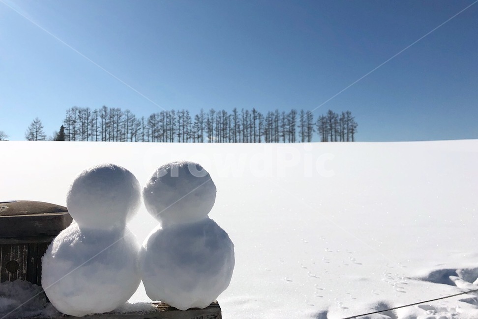 눈,눈사람,겨울,삿포로,비에이,winter,자연,겨울,계절,winter,season,자연,풍경,nature,landscape