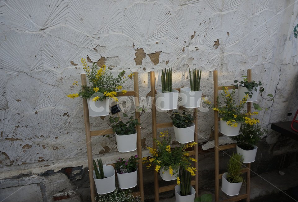 꽃,인테리어,flower,식물,배경,배경화면,화분,힐링,정물,컨셉,거리