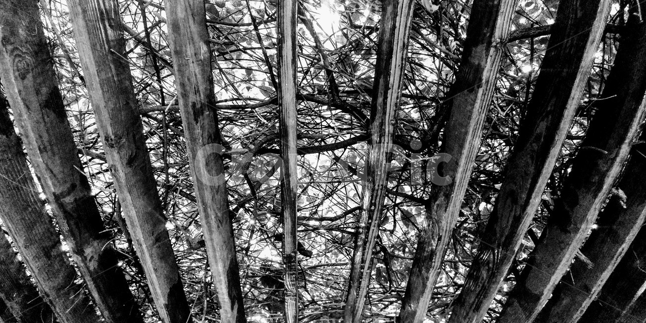 흑백,천장,질감,쉼터,나무,흑백,모노톤,monochrome,black and white