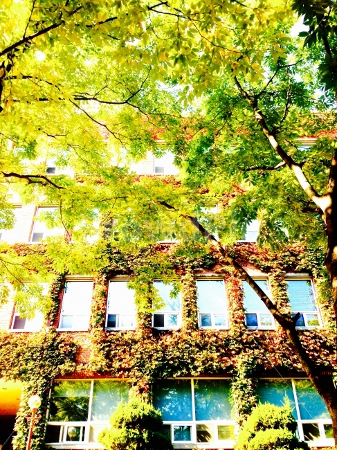 landscape,풍경,건물,여름,summer,계명대학교,녹색,green,자연,nature,창문,windows,건축물,건물외관,exterior,building,structure,architecture,construction,식물,자연,plants,nature,교육,학교,공부,education,learning,study,school