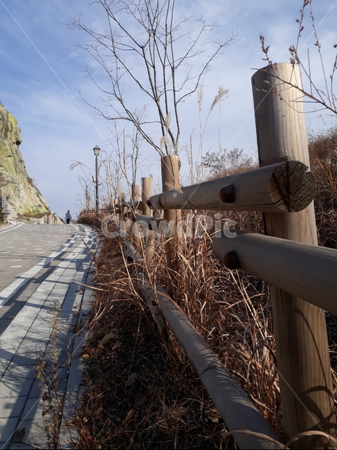 울타리,walkway,보도,path,통로,person,사람,human,인간