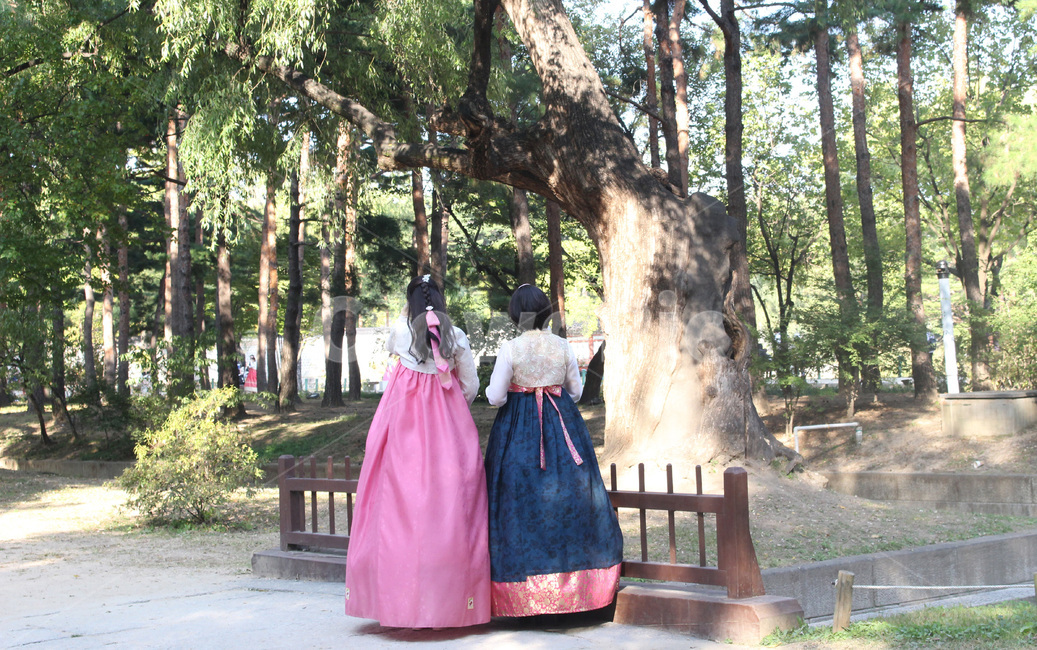 경복궁,한복,전통,모녀,나무,자연,한국적,traditional,여자,여성,woman,korean,뒷모습,나란히,hanbok,한국전통의상,한국전통,한국문화,korean traditional,korean culture,한복,한국전통의상,hanbok,korean traditional clothes,사람,인물,인간,human,person,여성,여자,woman,female,lady