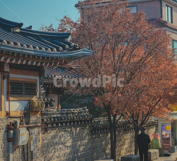 삼청동,안국동윤보선가,한옥,삼청동한옥건물,봄