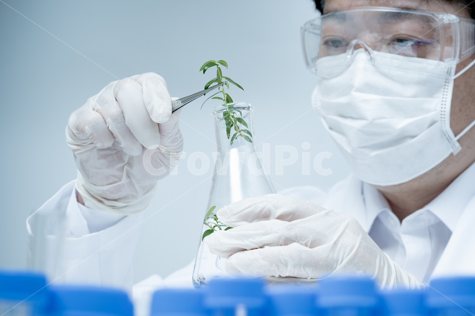 과학,의료,과학자,식물학,식물,표본,샘플,견본,연구원,실험실,연구실,실습실,장비,설비,용품,시험관,튜브,생명공학,의학,실험,생물학,배경,컨셉,개념,사이언스,화학,테스트,시험,검사,미생물학,분석,푸른색,파란색,블루,기술,생화학,테크놀로지,개발,교육,약학,동양인,남자,아시아인,일본인,중국인,한국인,남성,1인,산업,industry,industrial