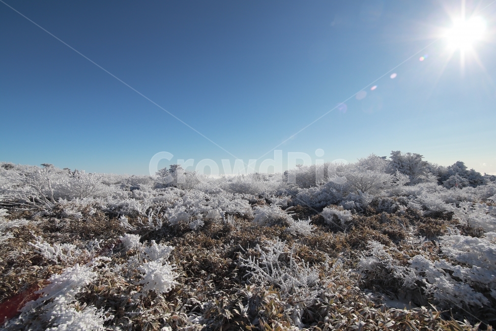 한라산,상고대,설산,겨울,겨울산행,눈꽃,진달래대피소,성판악,관음사,제주도,제주,백록담,겨울,계절,winter,season,자연,풍경,nature,landscape,outdoors,옥외,snow,눈,frost,서리