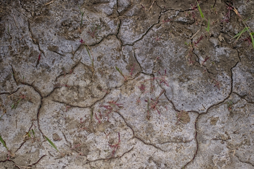 가뭄,메마름,풍경,자연,관찰,땅,흙,갈라짐,텍스처,질감,패턴,texture,pattern