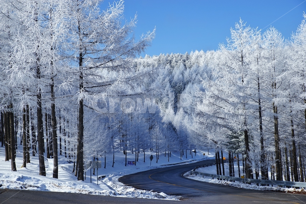 함백산,만항재,설경,풍경,겨울,겨울,계절,winter,season,자연,풍경,nature,landscape,한국자연풍경,한국자연경관,korea nature landscape,outdoors,옥외,ice,빙