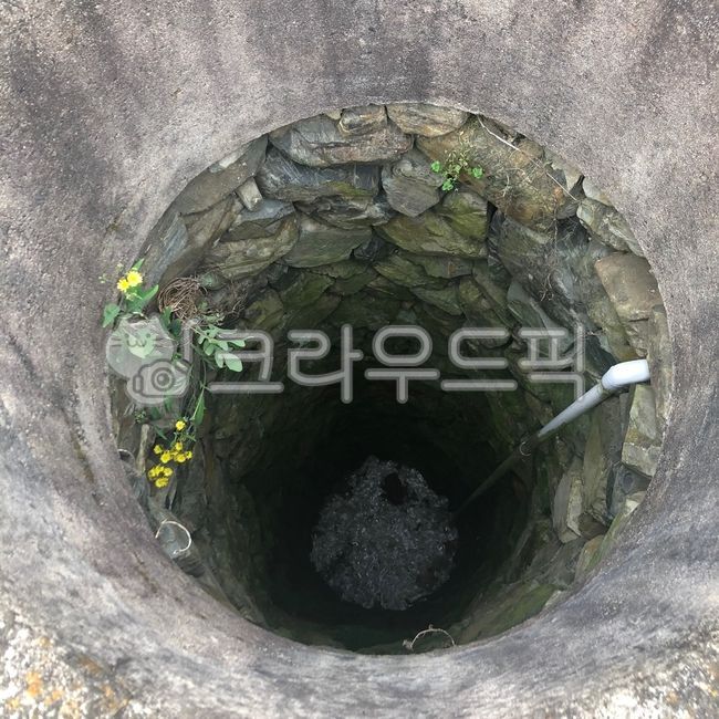 hole,구멍,우물속꽃,노란꽃,우물,시골우물