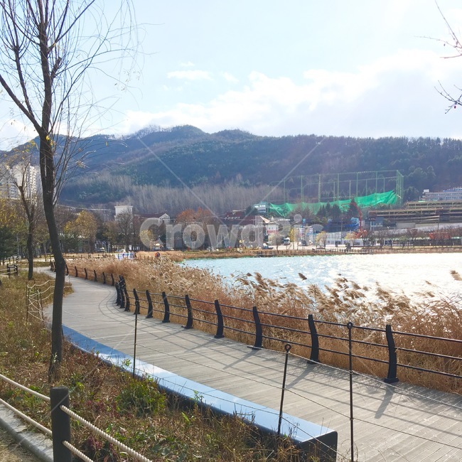 수성못,겨울풍경,풍경,겨울,바람,수성못풍경