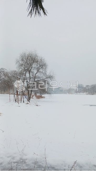 눈,설경,겨울,얼음,겨울풍경,함박눈,snow,snowscape,winter,ice,호수,일산호수공원,자연,옥외,눈보라,nature,outdoor,blizzard