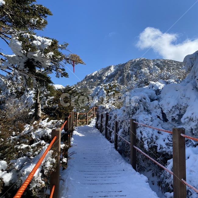 mountain,nature,자연,한라산,눈꽃,설산,겨울,계절,winter,season