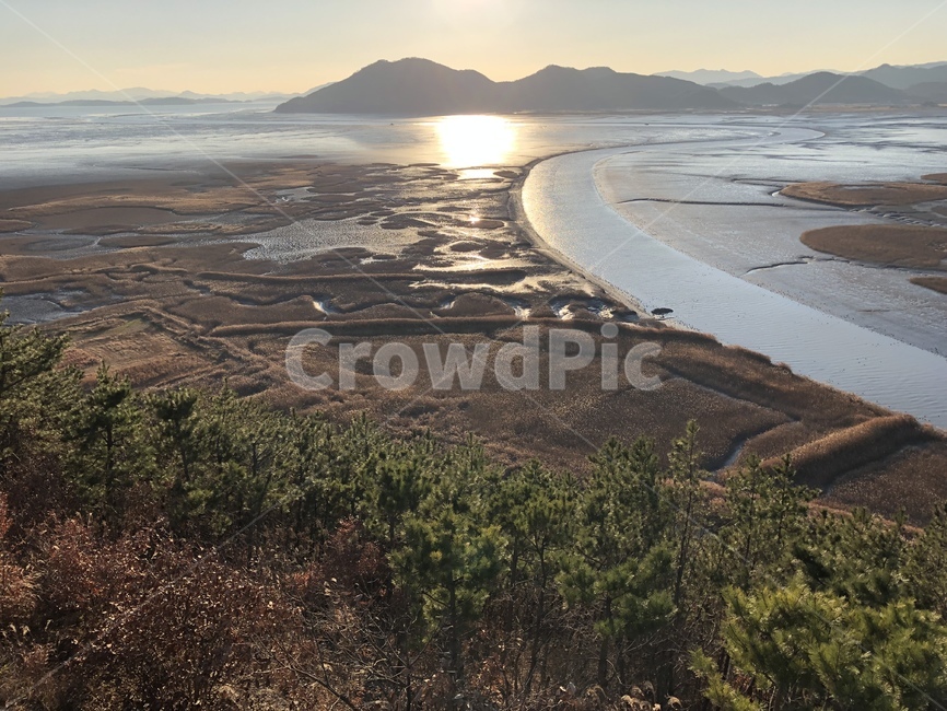 nature,자연,landscape,경치,outdoors,옥외,scenery,풍경,순천만,습지,겨울,winter,맑음