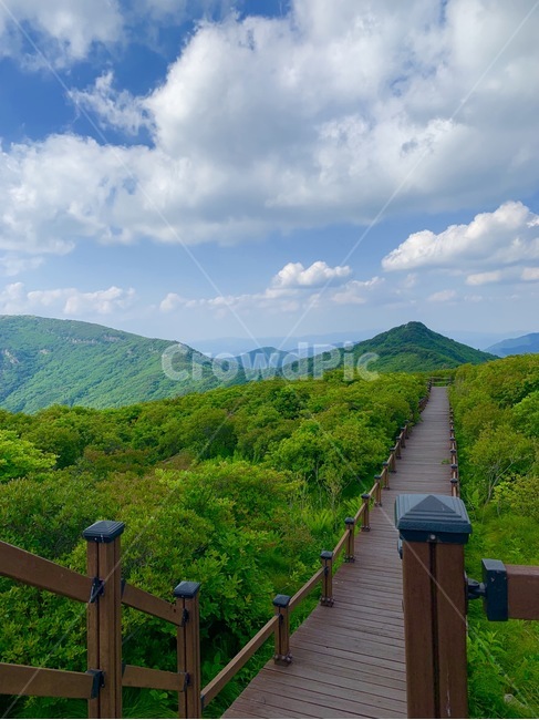 산,mountain,산정상,나무,하늘,구름,꼭대기