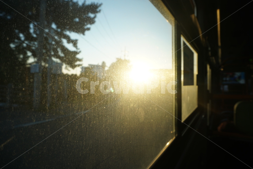 flare,bus,light,sunset,backlight,nightfall,by the window,bus window