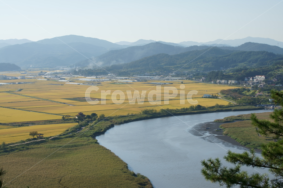 순천만,순천만습지,습지,자연,nature,koreanature,landmark,wetland,korea