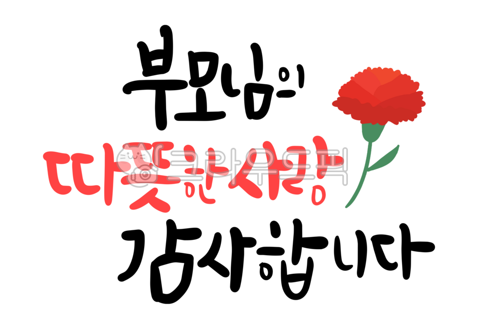 카네이션,꽃,어버이날,스승의날,감사인사,인사말,하트,사랑해,캘리그라피,어버이날캘리그라피