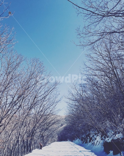 지리산,눈길,눈,눈꽃,나무,등산,하늘,겨울,계절,winter,season,자연,풍경,nature,landscape,outdoors,옥외