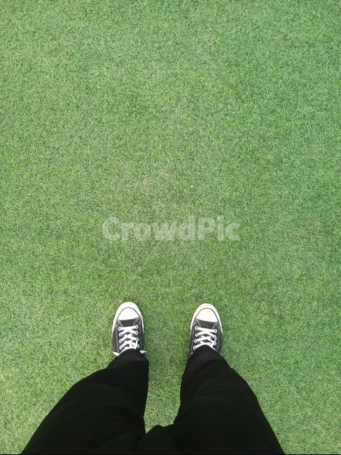 잔디,신발,초록,green,색깔