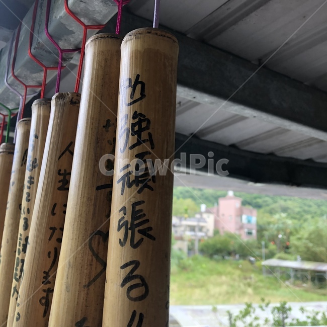 한자,대만어,중국어,대나무,대나무통
