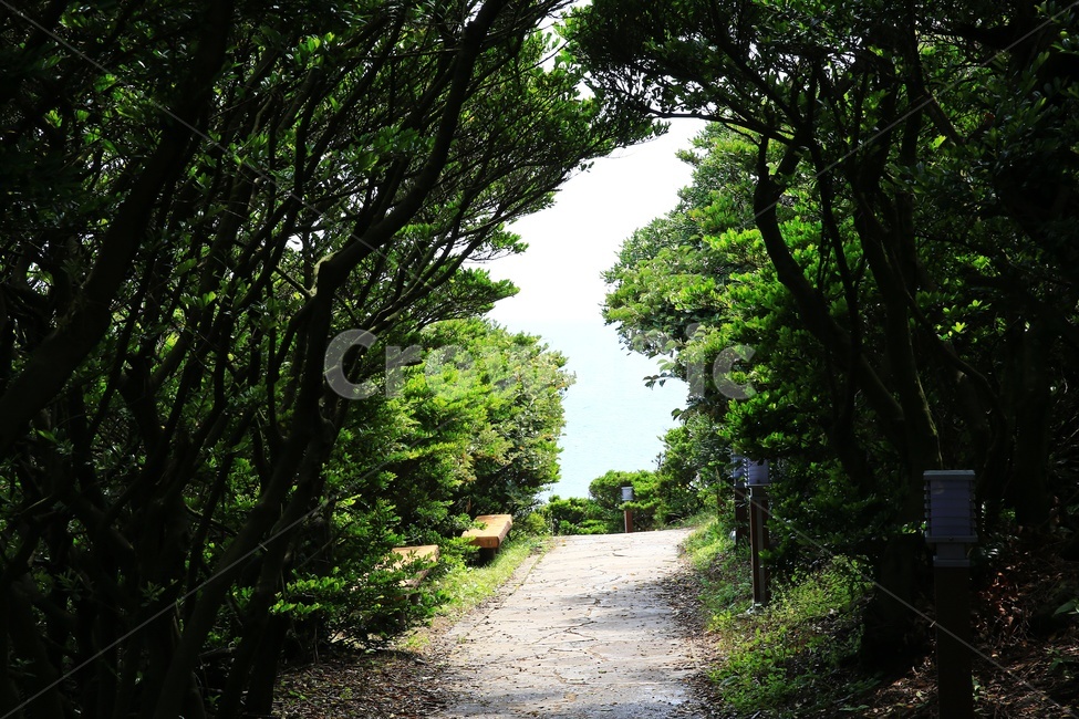 nature,자연,outdoors,옥외,제주,큰엉해안,한반도지도,서귀포,자연,풍경,nature,landscape