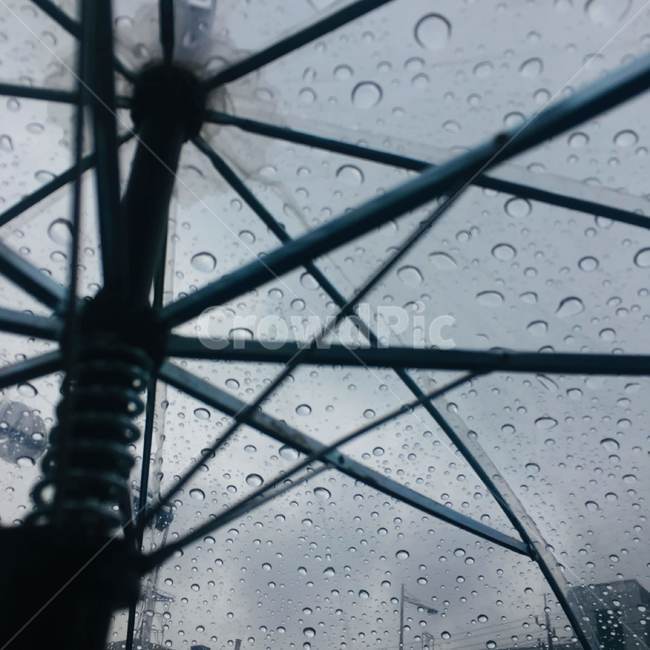 하늘,우산,비,물,빗방울,비오는날,비,비오는날,rain,rainy