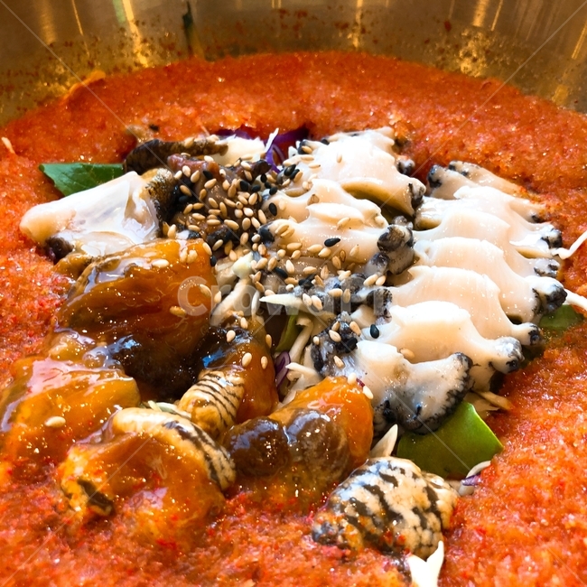 물회,음식,요리,한식,해산물,회