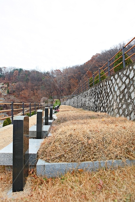 인천시립공동묘지,부평공동묘지,묘지,묘,잔디,봉우리,식물,자연,풍경