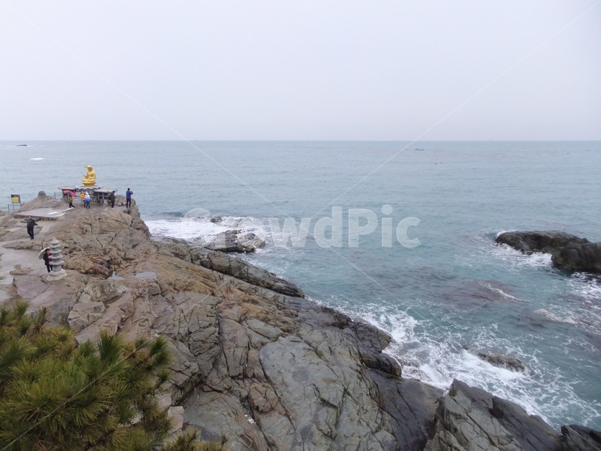 바다,부산절,부산용궁사,바닷가,수평선,절,파도