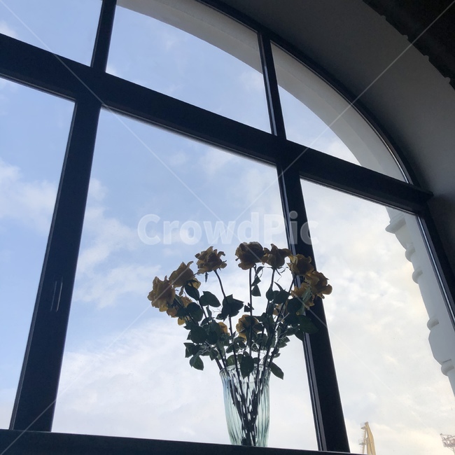 window,창문,building,꽃,러시아