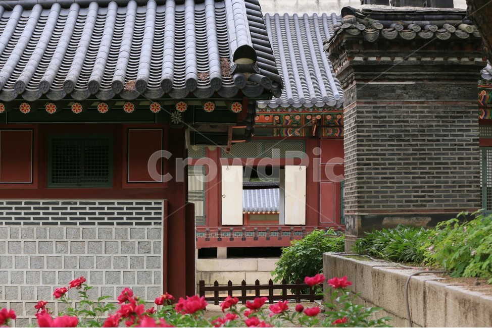 덕수궁,서울조선시대,궁궐함박꽃,작약,고궁,한국전통,한국문화,korean traditional,korean culture,랜드마크,landmark,tourist attraction,한국랜드마크,한국관광지,한국명소,korea landmark,korea tourist attraction,건축물,건물외관,exterior,building,structure,architecture,construction