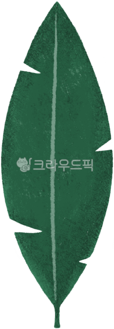 Leaves,foliage,tropical plants,leaf illustration,green,leaf,leaf decoration,green,leaf,foliage,plant,nature,greenery,eco,green leaves,hand drawing,hand sketching,illustration,journaling,sticker,decoration,crayons,sentimental illustra