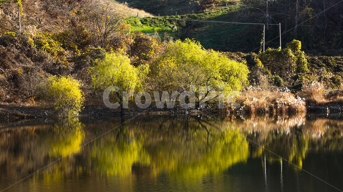호수,가을,반영,투영,풍경,계절,단풍,나무,숲,자연,풍경,nature,landscape,outdoors,옥외,water,물,land,땅