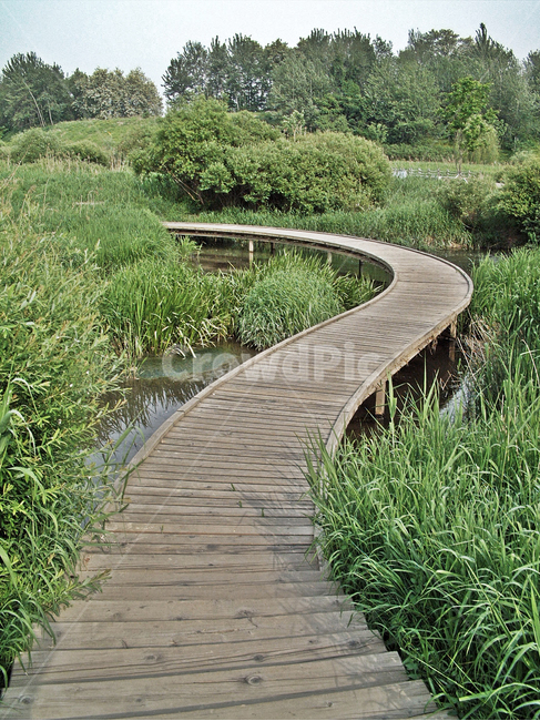 탐방로,나무데크,양재천,습지공원,습지,수풀,자연,자연,풍경,nature,landscape,building,건물,bridge,다리,boardwalk,산책로