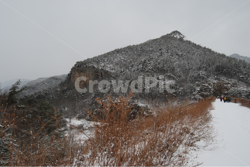 겨울,설경,휴양지,자연,공원,겨울,계절,winter,season,자연,풍경,nature,landscape,outdoors,옥외