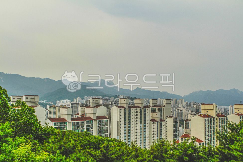 서울,산,개운산,공원,개운산공원,산책,산책로,도시,시티,중심지,건물,고층건물,자연,옥외,나무,식물,urban,city,metropolis,mountain,building,highrise,nature,outdoors,tree,plant