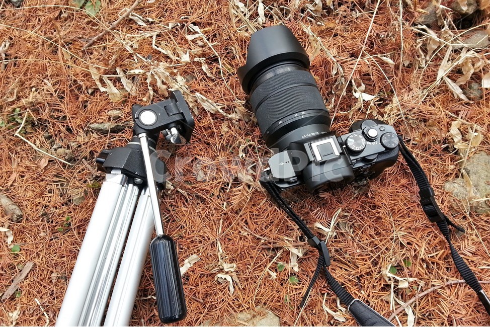 카메라삼각대,카메라,사진기,렌즈후드,알미늄삼각대,camera,tripod,fallenleaves,lenshood,camerabutton,hotshoe,background,사진작가,포토그래퍼,photographer,사물,물건,오브젝트,thing,object,matter
