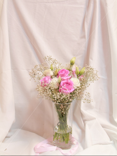 꽃,장미,꽃봉우리,스튜디오,정물,사물,오브젝트,안개꽃,꽃,flower,실내용화초,화분,화초,house plant