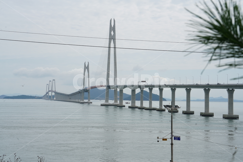 천사대교,신안군,압해도,암태면,천사섬,사장교,현수교,다리,bridge