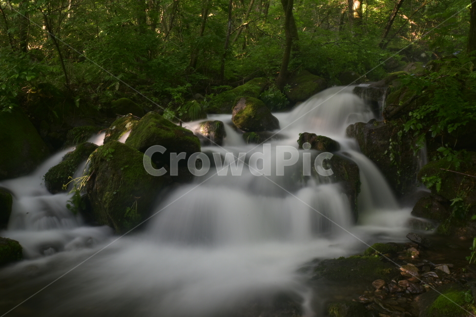 자연,풍경,숲,여름,녹색,자연,풍경,nature,landscape,water,물,outdoors,옥외,river,강