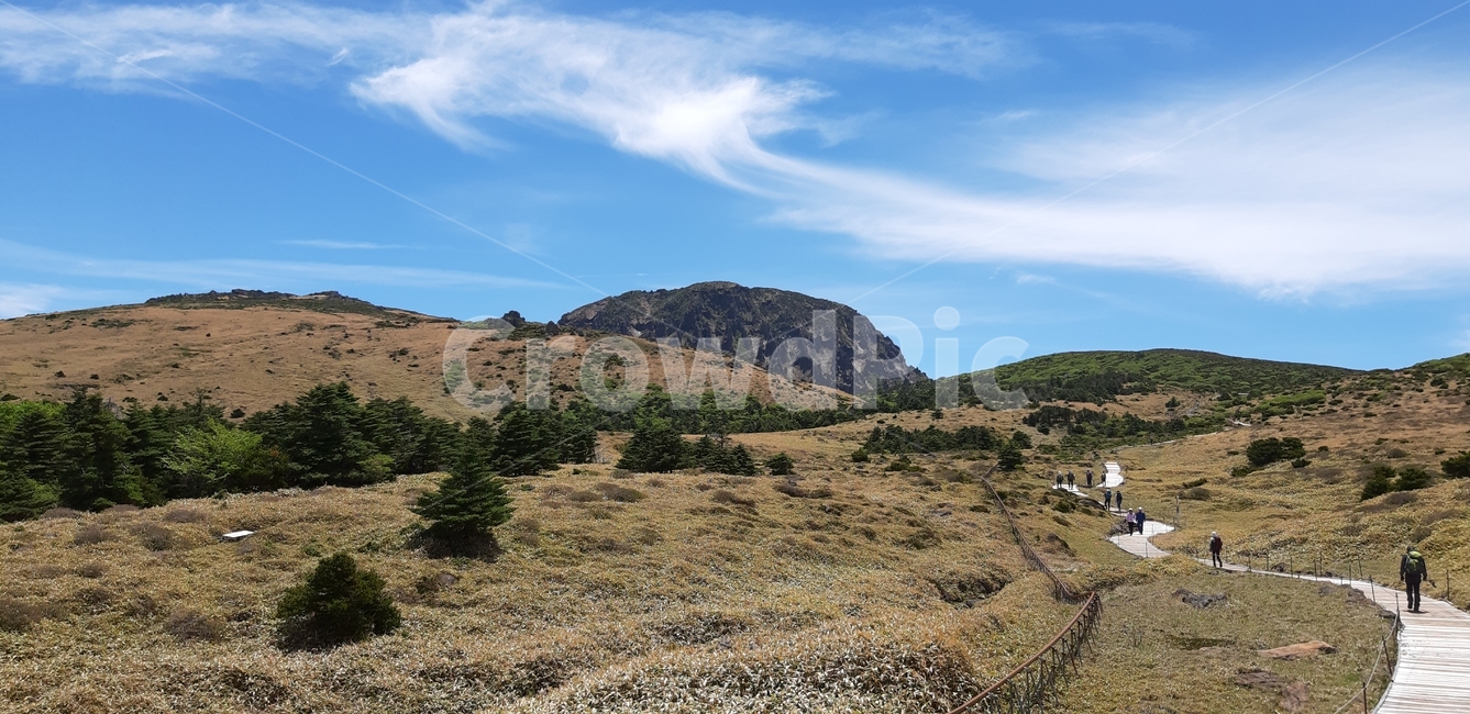 제주도,한라산,어리목코스,윗세오름,남벽