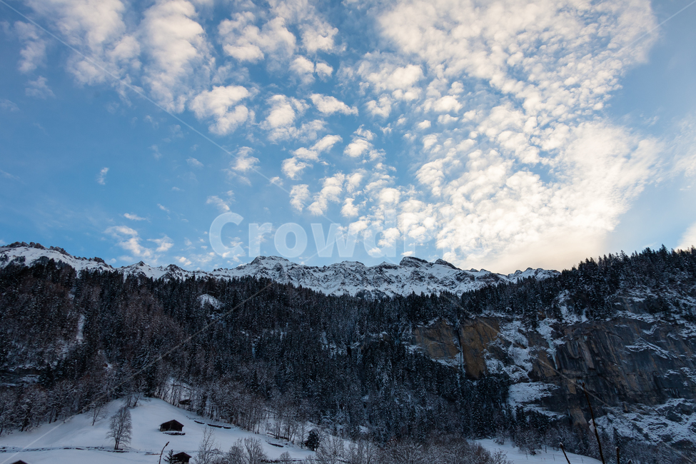 스위스,하늘,겨울,산,눈덮인,눈,숲,겨울,계절,winter,season,자연,풍경,nature,landscape,해외,외국,세계,foreign,oversea,world,세계자연풍경,해외자연풍경,외국자연풍경,world nature landscape,tree,나무,plant,식물,abies,아비,fir,전나무,outdoors,옥외,mountain