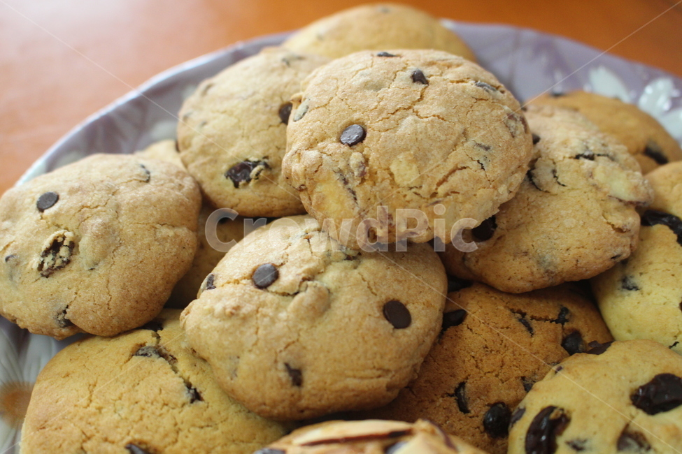 쿠키,간식,비스킷,과자,cookie,음식,식재료,요리,food,cook,meal,dishes,food reserves,디저트,간식,후식,dessert,snack