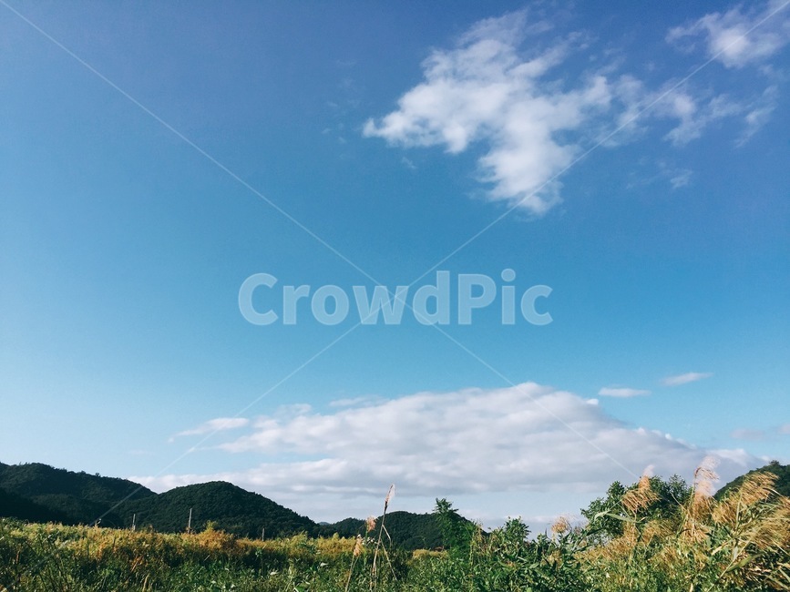 sky,spring,natural scenery,Rural village scenery,plant
