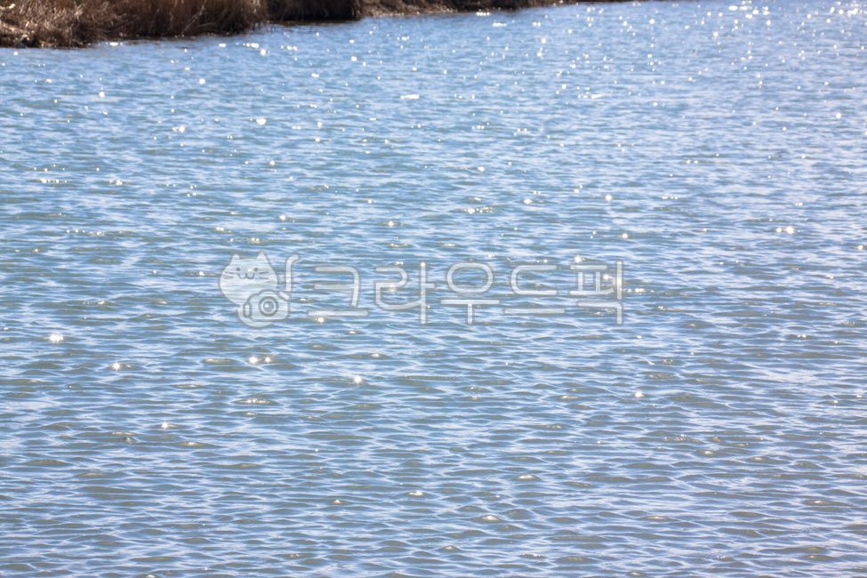 nature, 자연, outdoors, 옥외, water, 사진,이미지,일러스트,캘리그라피 - studio H작가