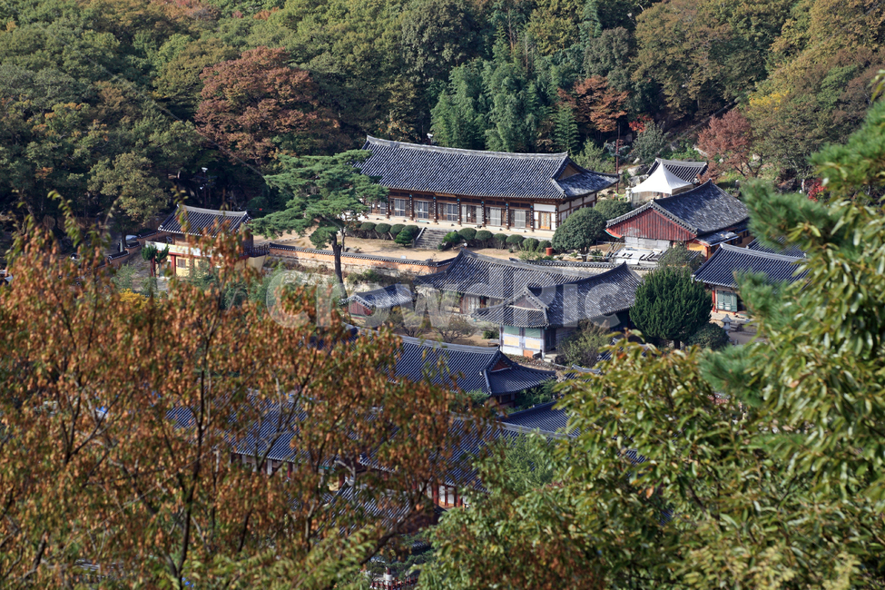 범어사,부산,절,사찰,불교,종교,종교시설,산,숲,자연,풍경,전통,한국전통,전통건축,전통건축물,기와,기와집,지붕,기와지붕,건물,대웅전,전각,암자,문화재,한국