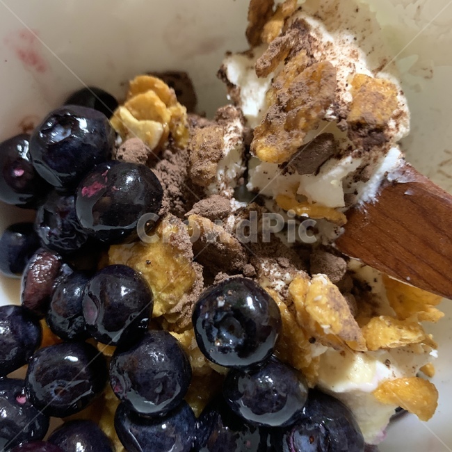 아이간식,요거트,블루베리,과일,음식,시리얼,과일,열매,fruit,디저트,간식,후식,dessert,snack