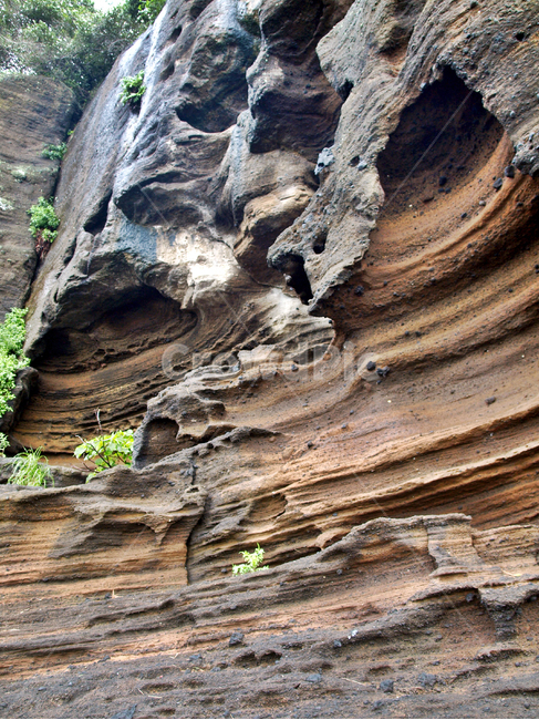 올레10코스,올레,서귀포시,제주,기암괴석,암석,화산석,절리,자연,풍경,nature,landscape,제주도,jeju,jeju island,outdoors,옥외