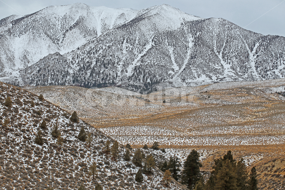 nature,자연,mountain,산,california,겨울,계절,winter,season,자연,풍경,nature,landscape