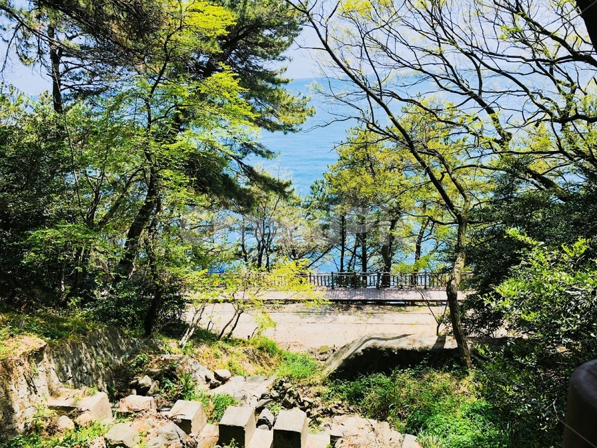 바다,산,소나무,나무,자연경관,자연,하늘,구름,해,햇빛,숲,나무숲,바닷길,힐링