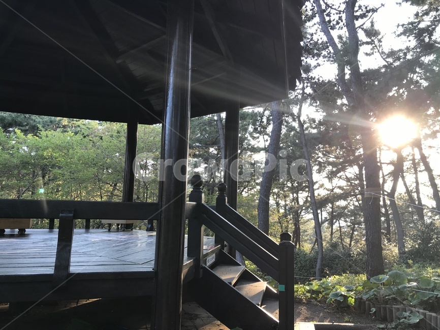 정자,공원,산,숲길,조용한분위기,상쾌,나무,나무길,산소